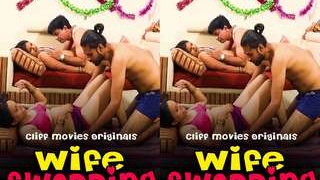 Episode 2 of Indian wife swap explores different sexual desires