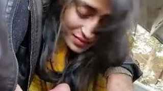 Hot girlfriend gives a blowjob in the car