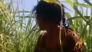 Bihari girl's sex in the field with Ganne