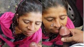 Randi Bhabhi's outdoor blowjob skills in action