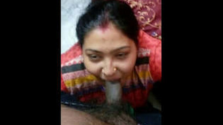 Desi wife's hardcore sex and blowjobs with her husband in MMS video part 2