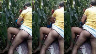 Desi wife gets fucked by neighbor in the middle of the cornfields