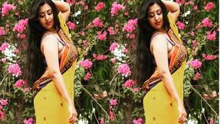 Tiyasha's sari and saree models in exclusive fashion video