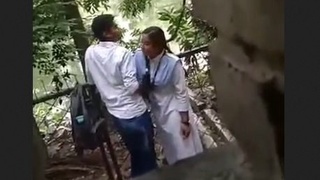 Spy on a Desi couple having sex outdoors in a steamy video