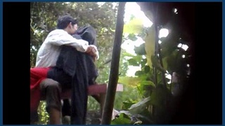 Mumbai couple indulges in public sex in a park