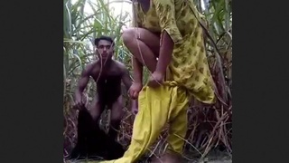 Desi couple's affair in a sugarcane field