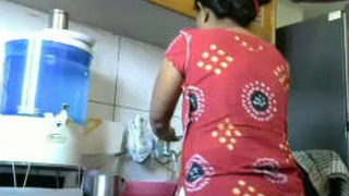 Desi couple's steamy kitchen romp captured on video